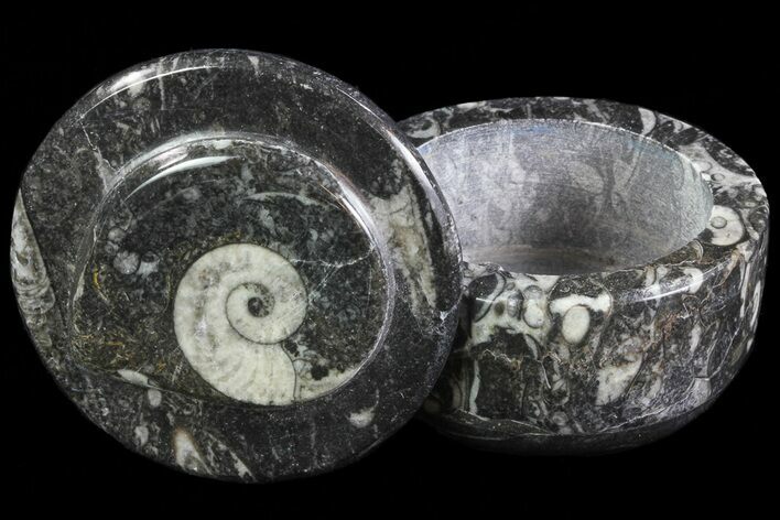 Small Fossil Goniatite Jar (Black) - Stoneware #66599